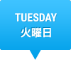 TUESDAY　火曜日