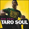 TARO SOUL