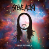 STEAVE AOKI